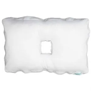 Original pillow with a case V2 case on main